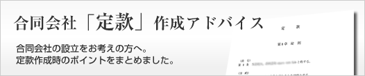 合同会社の定款作成をアドバイス